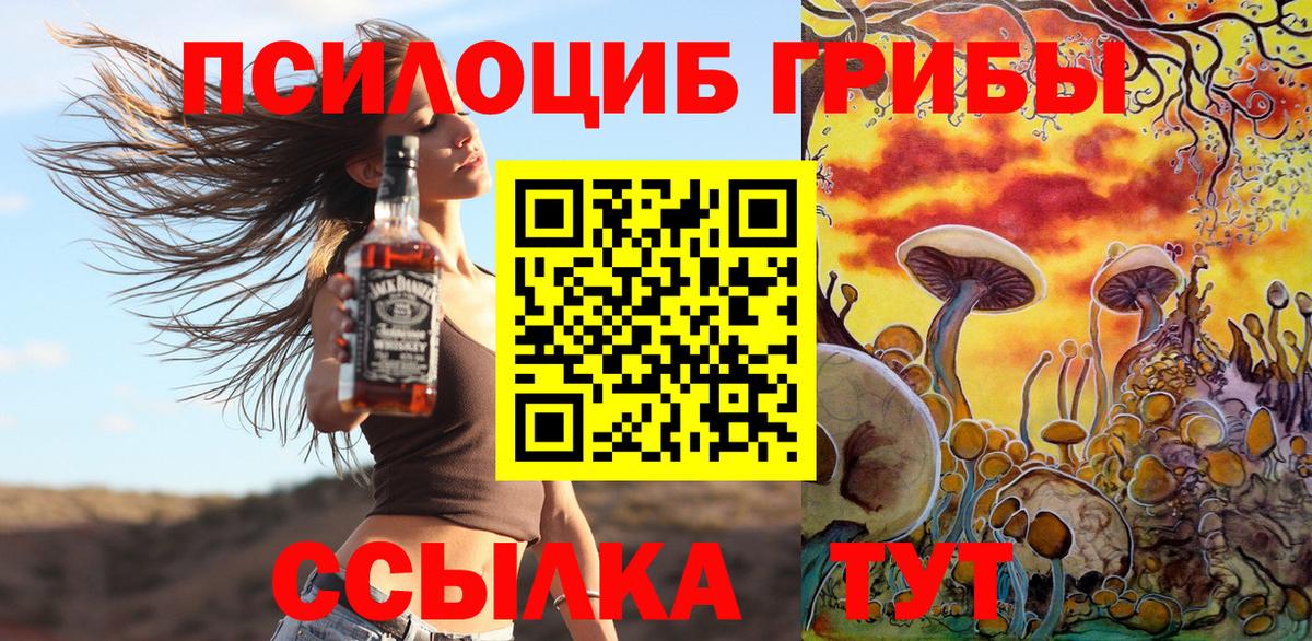 Псилоцибиновые грибы Cubensis Изобильный